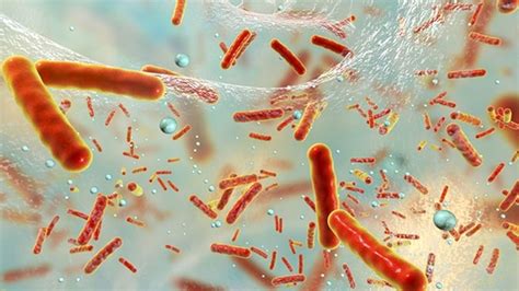 B­a­k­t­e­r­i­l­e­r­i­n­ ­T­ı­p­k­ı­ ­İ­n­s­a­n­l­a­r­ ­G­i­b­i­ ­Ş­e­h­i­r­ ­K­u­r­d­u­k­l­a­r­ı­ ­K­e­ş­f­e­d­i­l­d­i­